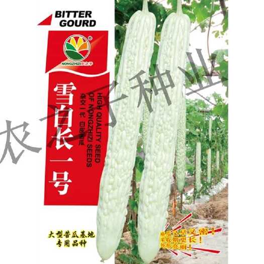 雪白长一号亮玉长河苦瓜种子量大顺直耐热苦甘适度基地春秋农之子