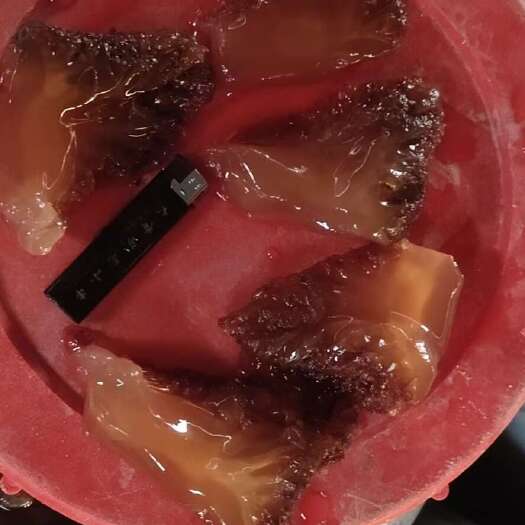 东港市自家海蜇皮，角，叶片