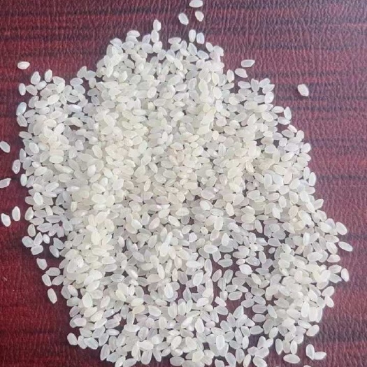 唐山三选酒米