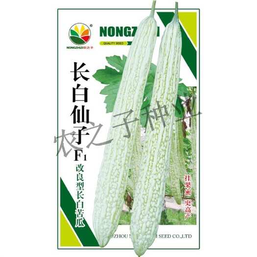 长白仙子杂交一代改良型长白苦瓜种子挂果密更量大基地专用农之子