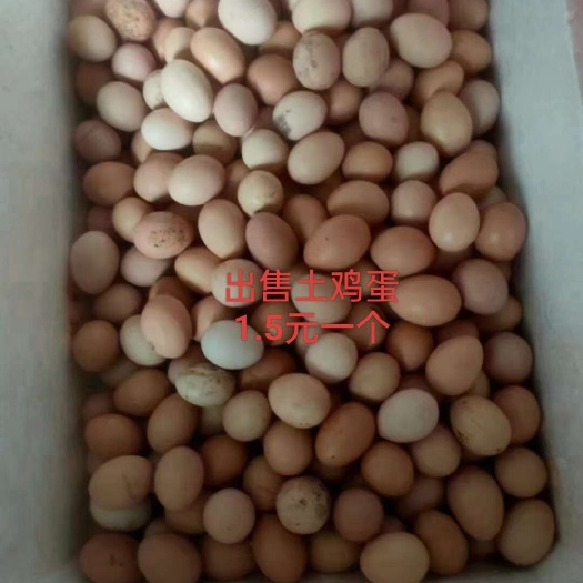 瓮安县鸡蛋