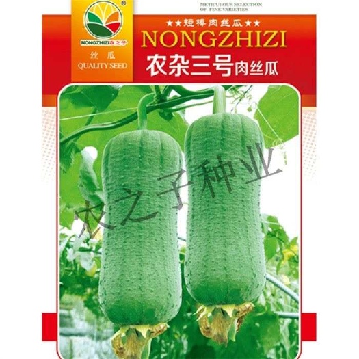 株洲肉丝瓜杂交丝瓜农杂九号农杂三号微皱皮耐热产量高春夏农之子