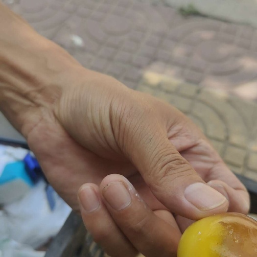 郑州糖沁变蛋