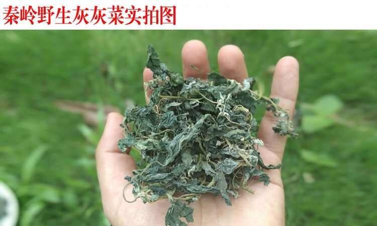 2024年野生灰灰菜秦岭灰灰菜山野菜农家野菜脱水食用蔬菜干菜