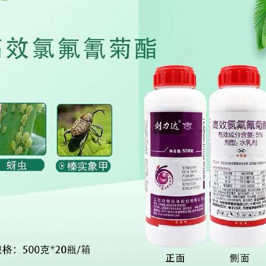 诸城市剑力达5%高效氯氟氰菊酯蚜虫吸浆虫榛实象甲菜青虫杀虫剂