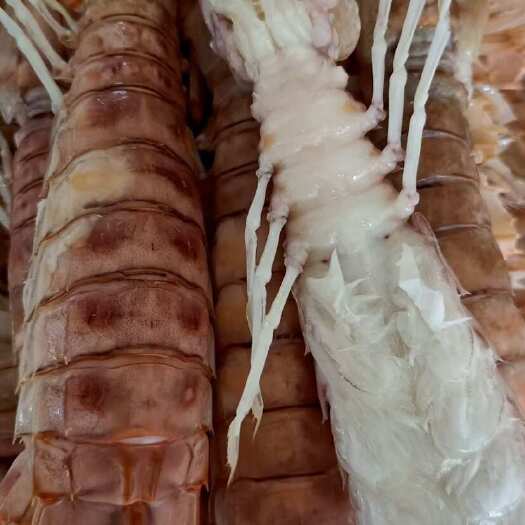 活煮熟冻皮皮虾，膏虾，肉虾