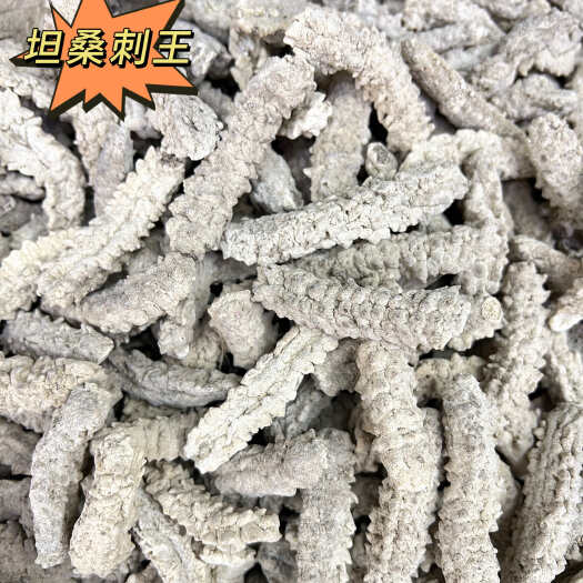 广州刺王海参坦桑刺王纯淡干高刺涨发率高厚肉口感好