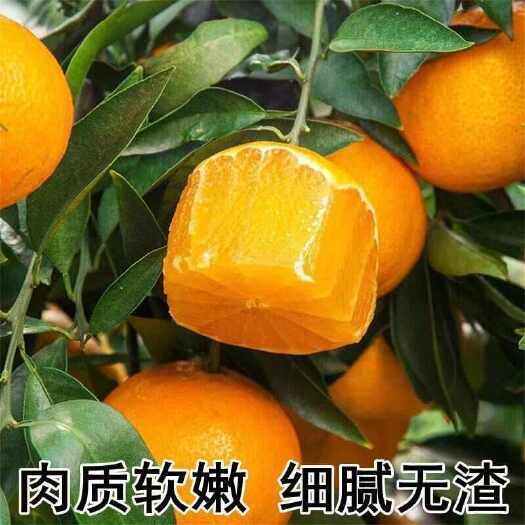 井研县千秋藏一果，一果尝千丘地标认证，值得信赖