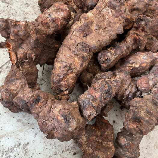 新鲜金刚藤 红肉土茯苓 红苓 货靓价平