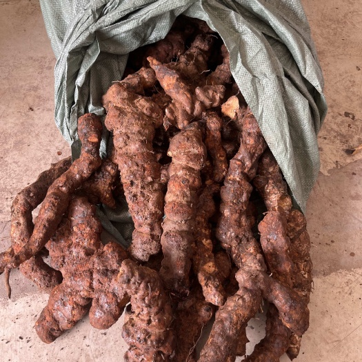 佛山新鲜云南土茯苓，黄皮白肉 直条滑身，货靓价平