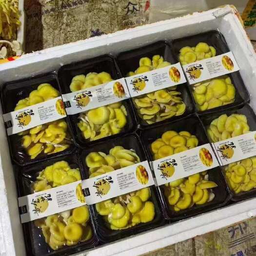 单县榆黄磨