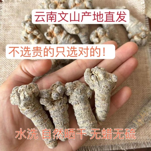 昆明文山三七三七头整个晒干头状500克 批发无剪口
