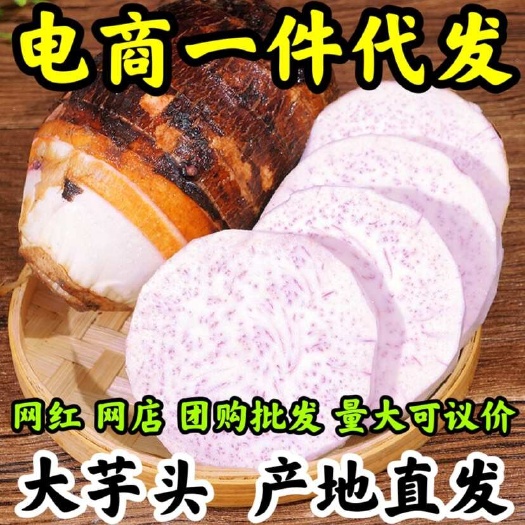 安溪县广西荔浦大芋头新鲜现挖香芋小芋头槟榔芋农家毛芋代发批发