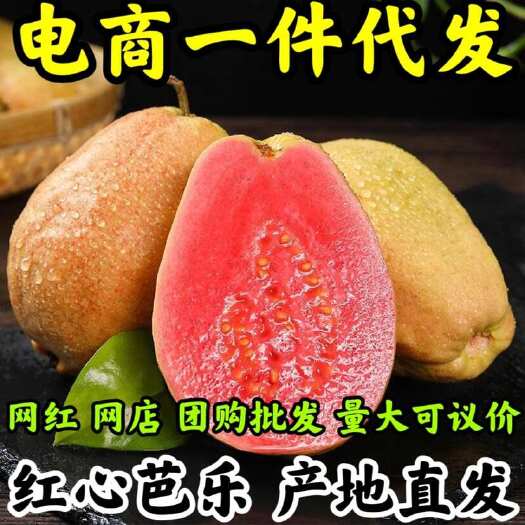 安溪县福建漳州产品新鲜树上采摘口感香甜红心芭乐当季好吃好水果番石榴