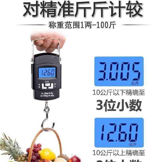 义乌市高精度手提电子秤家用弹簧小型便携式迷你称鱼器手拿小巧吊勾小称