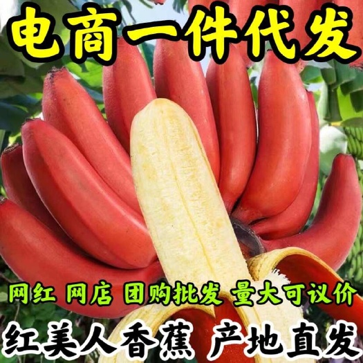安溪县福建红美人香蕉现摘红皮香蕉新鲜水果甜糯孕妇水果红皮蕉代发