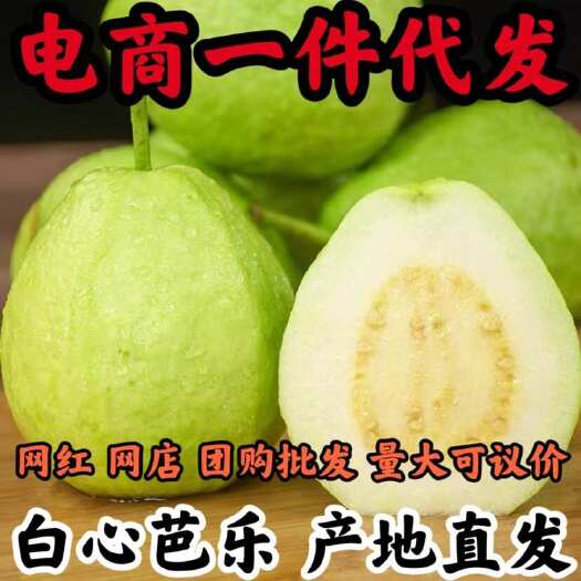 安溪县福建白心芭乐番石榴整箱新鲜软心胭脂芭乐新鲜热带当季1斤3斤5