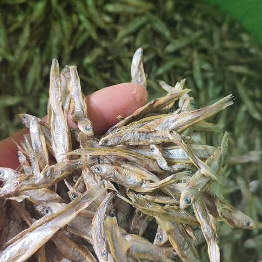 佛山 电商 宠物零食干 喂猫喂狗鱼干 干鱼 小鱼干