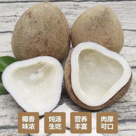 佛山椰皇，印度椰皇，椰子鸡汤料，香味浓郁，价格实惠
