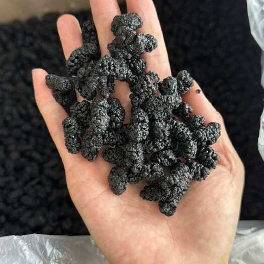 鄄城县桑葚 桑葚干 实拍 选装桑葚 发货如图 干货桑葚