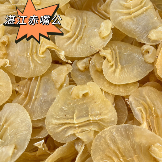 广州湛江赤嘴公鳘鱼胶花胶肉质厚潮汕人最爱的胶种珍藏价值高