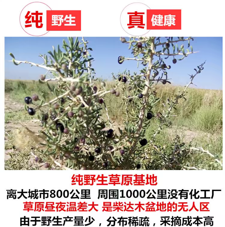 【青海发货】诺木洪草原头茬黑枸杞无硫黑枸杞手选货包邮