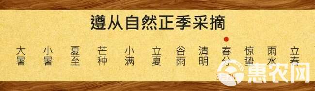 新茶正山小种红茶浓香型茶叶 武夷山蜜香型500g散装小种奶茶