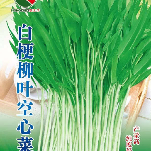 株洲白梗柳叶空心菜