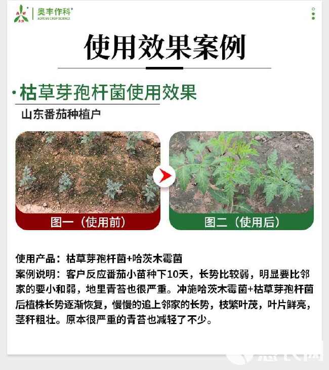 枯草芽孢杆菌微生物菌剂生根壮苗抗重茬防死棵根腐病枯萎病改土