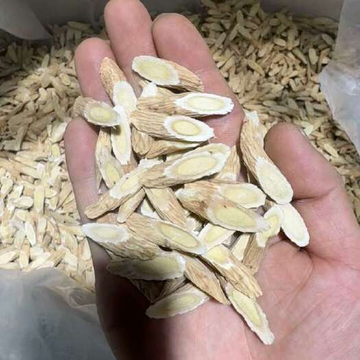 岷县黄芪切片