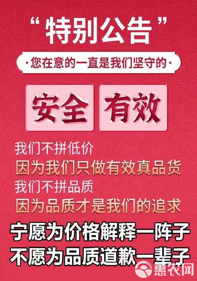 九华山制黄精年老整个九蒸九晒黄精油头辟谷肉黄精即食泡