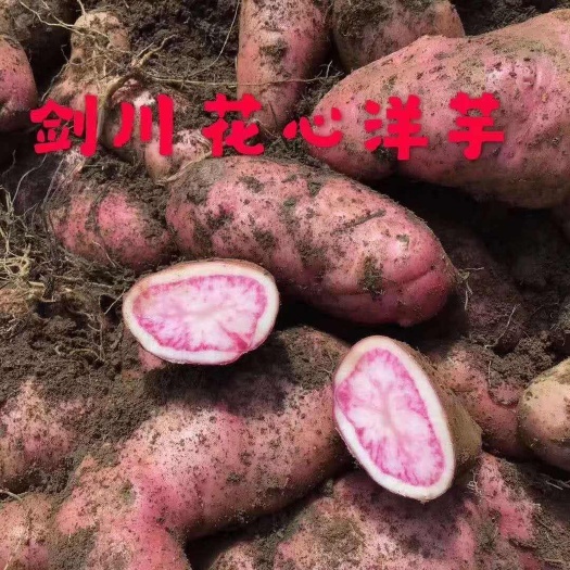 …剑川红…花心土豆
