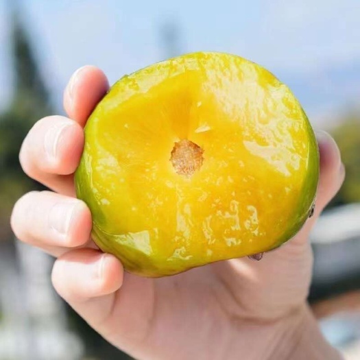 井研县好吃的蜂糖李