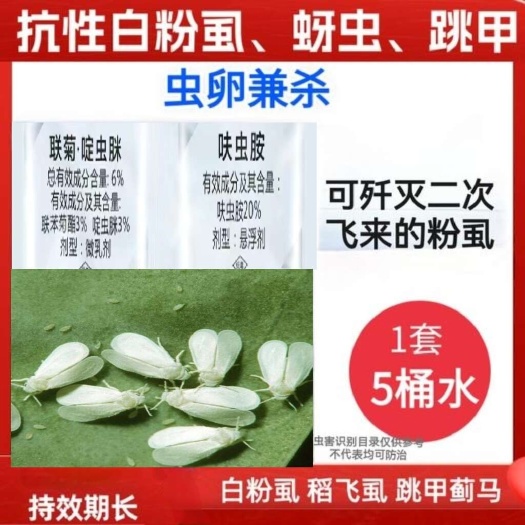 郑州20%呋虫胺联苯啶虫眯，白粉虱，蚜虫 蓟马跳甲，稻飞虱绿叶蝉