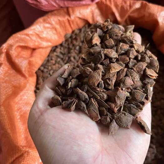 玉林广西大红八角 碎片 纯片