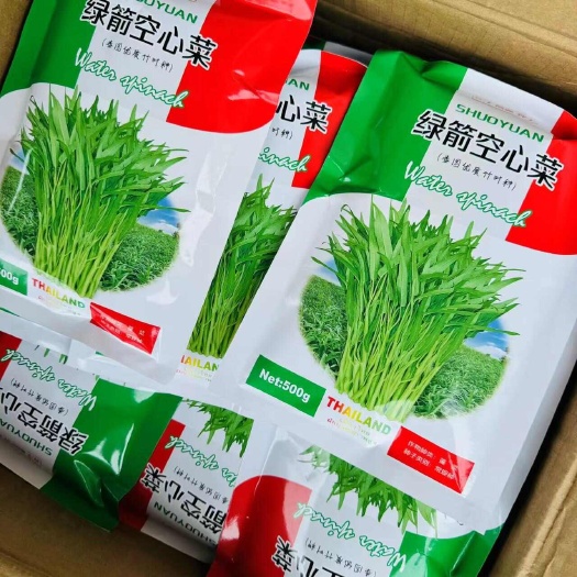 绿箭竹叶空心菜种子  白杆柳叶空心菜种子