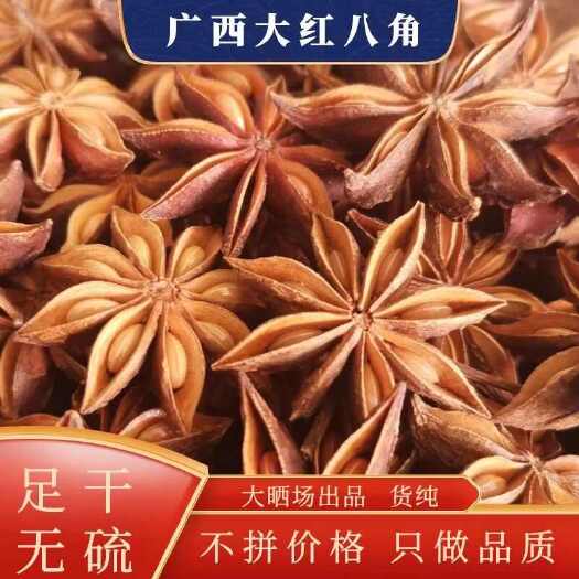 南宁广西产地大红八角  无硫足干  国内直发  包筛  去把