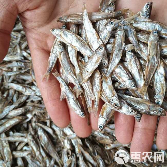  电商 宠物零食干 喂猫喂狗鱼干 干鱼 小鱼干