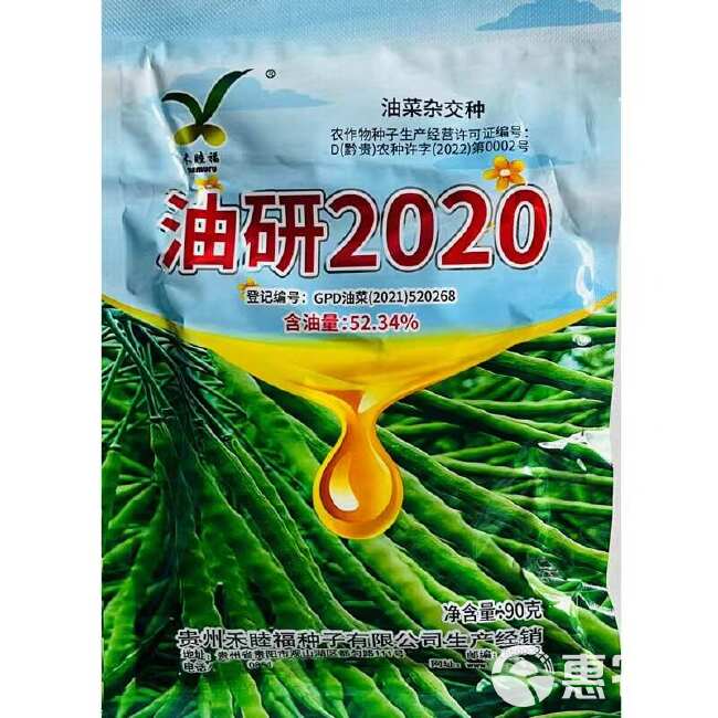 矮壮油88油菜种子 德5油778油菜种子矮杆高油油菜籽种子