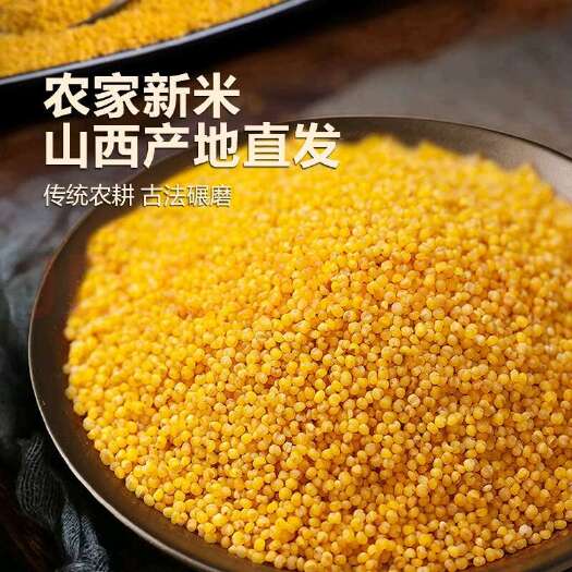 应县小米