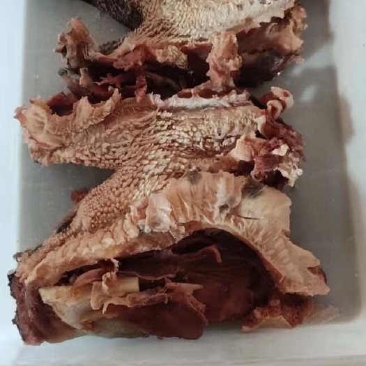 牛头嘴巴儿，眼窝