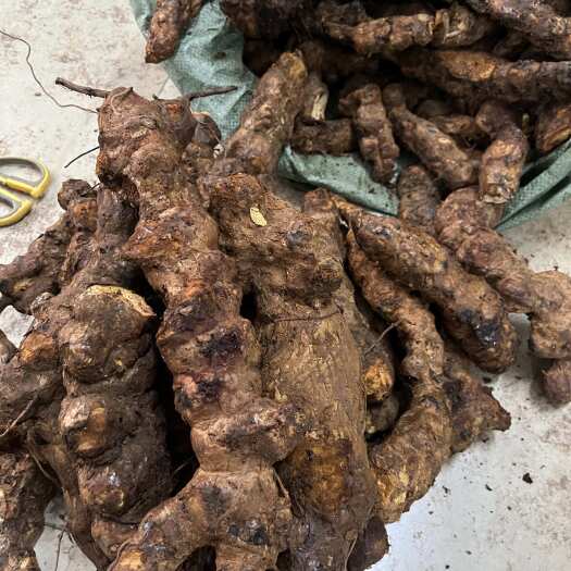 佛山新鲜云南土茯苓 黄皮白肉 口感甘甜 货靓价平