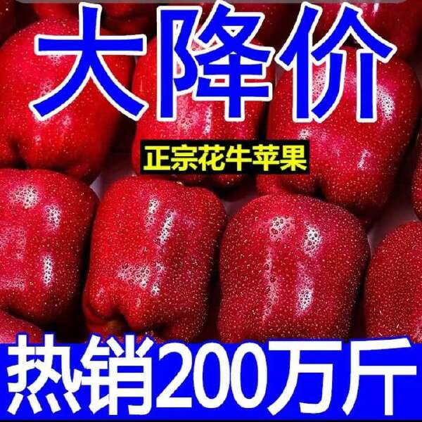 【新果】天水花牛苹果10斤包邮新鲜水果