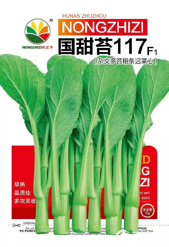 国甜苔177-杂交多苔粗条迟菜心