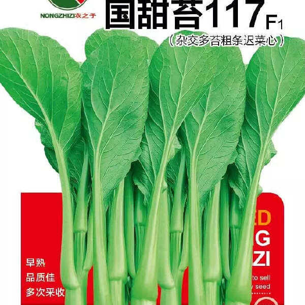 国甜苔177-杂交多苔粗条迟菜心