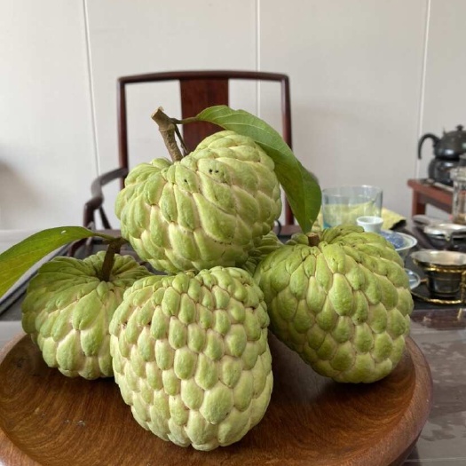 龙州县释迦