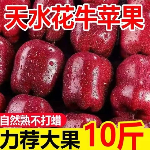赵县【新果】天水花牛苹果10斤包邮新鲜水果