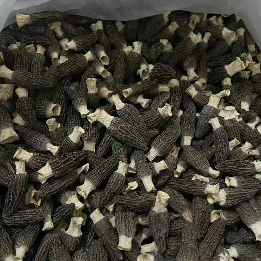 羊肚菌专场，库房腾货急出给钱就卖