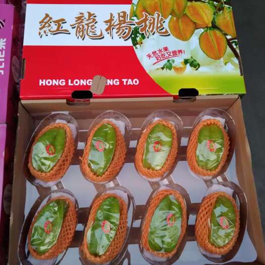 云霄县杨桃基地