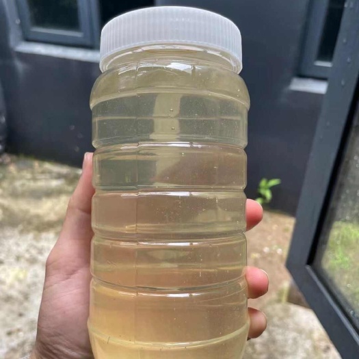 铁岭纯农家洋槐蜜纯蜂蜜不纯不要钱
